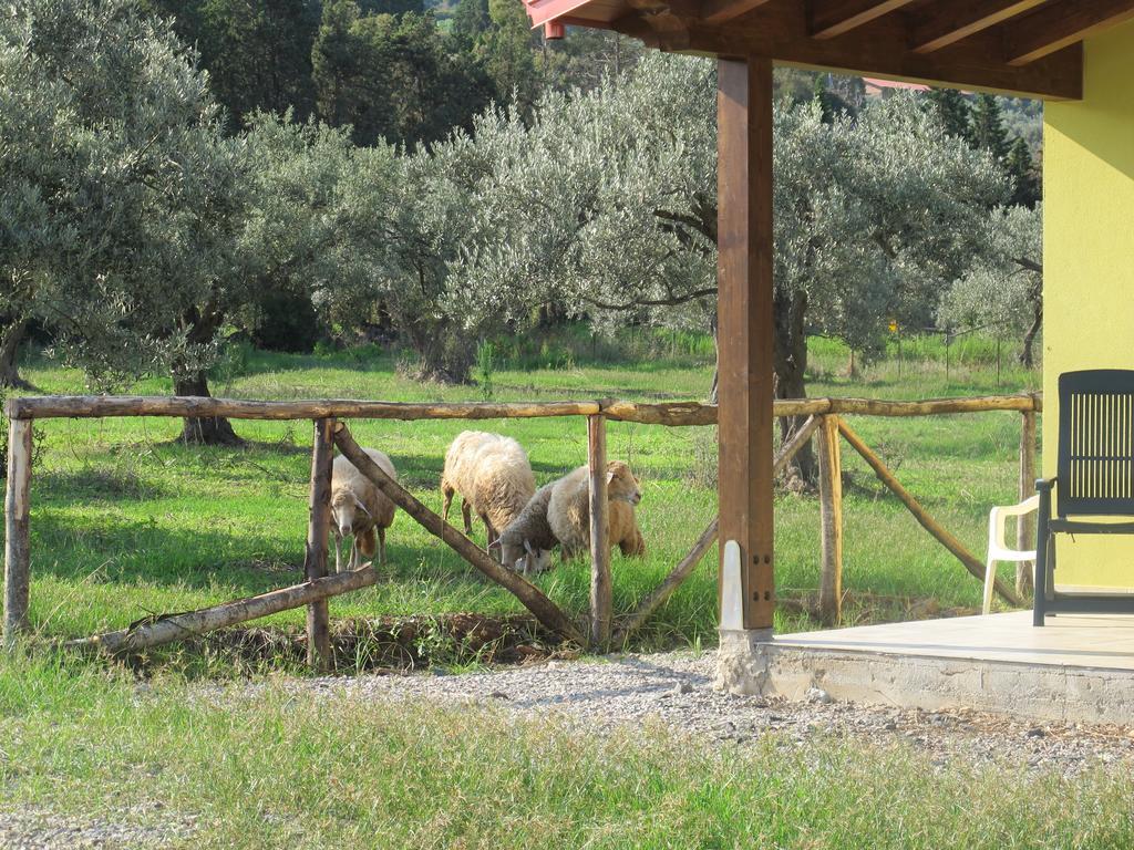 Holiday Home Stella Di Sicilia Acquedolci Kültér fotó